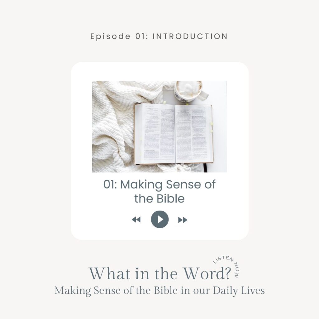 making sense of the bible in our daily lives